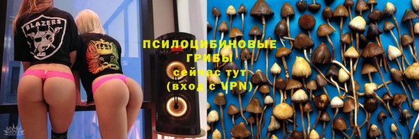 ешки Пролетарск