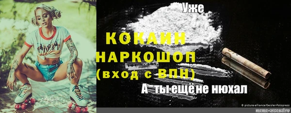 мет Протвино