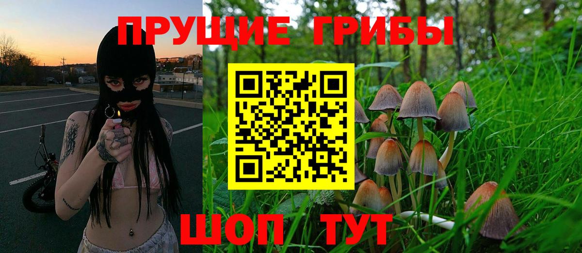 Галлюциногенные грибы Psilocybe  Псилоцибиновые грибы GOLDEN TEACHER  Вход с VPN  купить   Мегион 