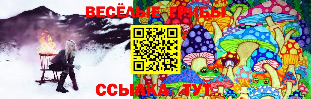 Псилоцибиновые грибы прущие грибы Мегион